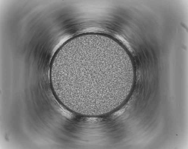 X0000094961322200712201151