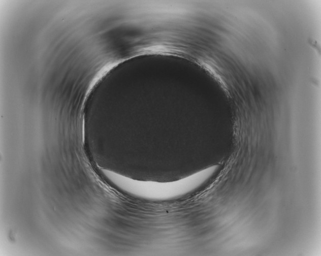 X0000094961323200712201151