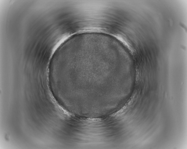 X0000094961325200712201151