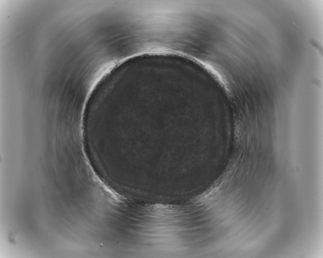 X0000094961327200712201151