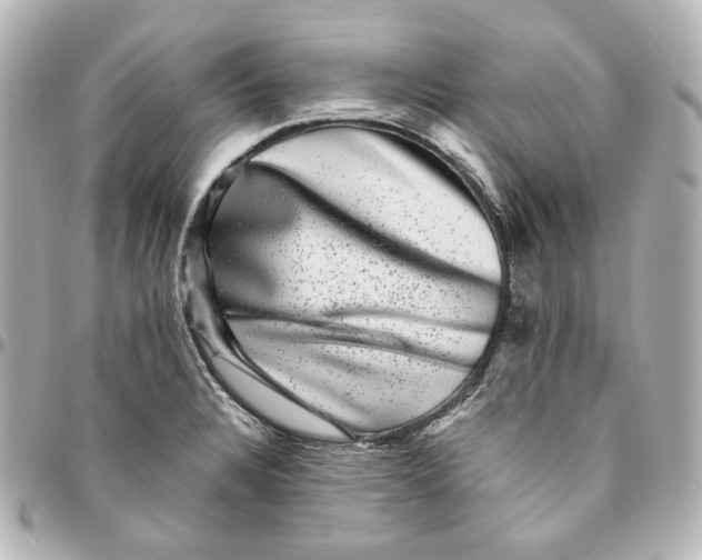 X0000094961328200712201151