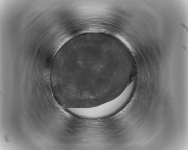 X0000094961329200712201151