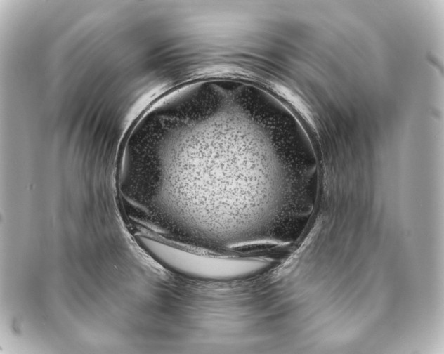 X0000094961330200712201151