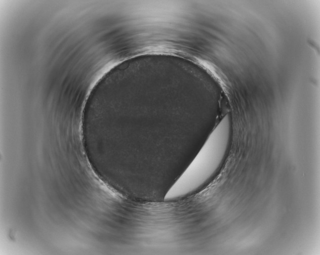 X0000094961331200712201151