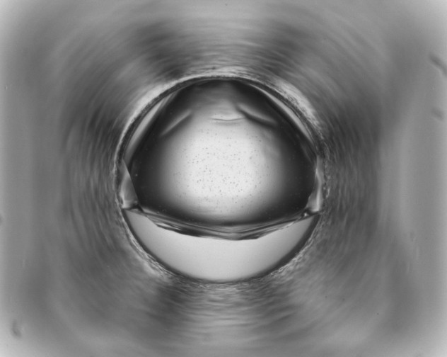 X0000094961332200712201151