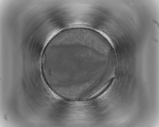 X0000094961333200712201151