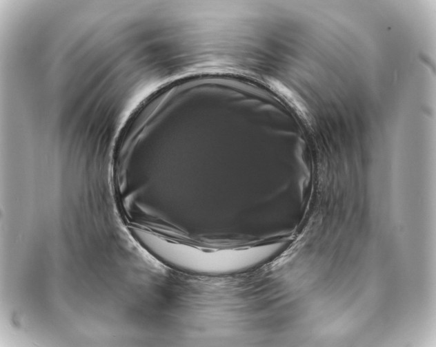 X0000094961334200712201151