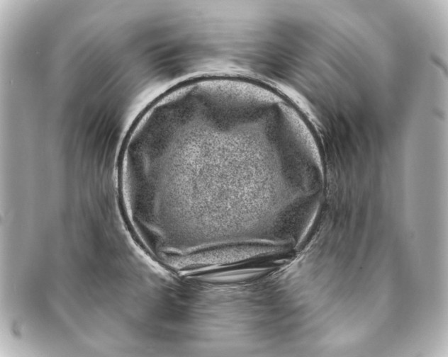 X0000094961335200712201151