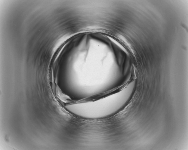 X0000094961336200712201151