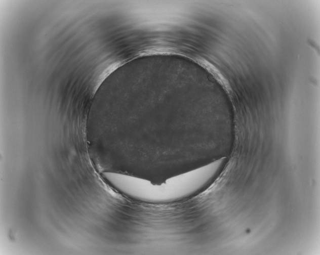 X0000094961337200712201151