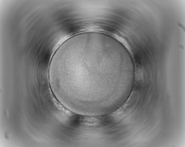 X0000094961338200712201151