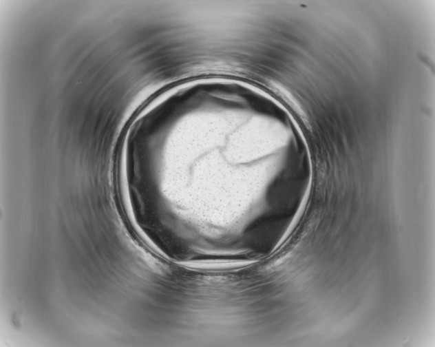 X0000094961339200712201151