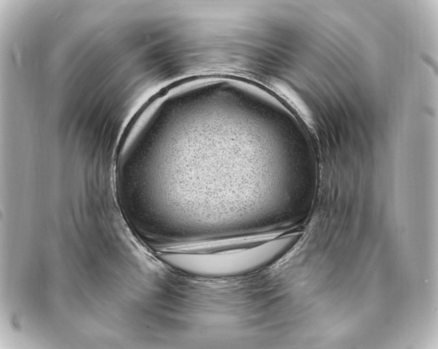 X0000094961340200712201151