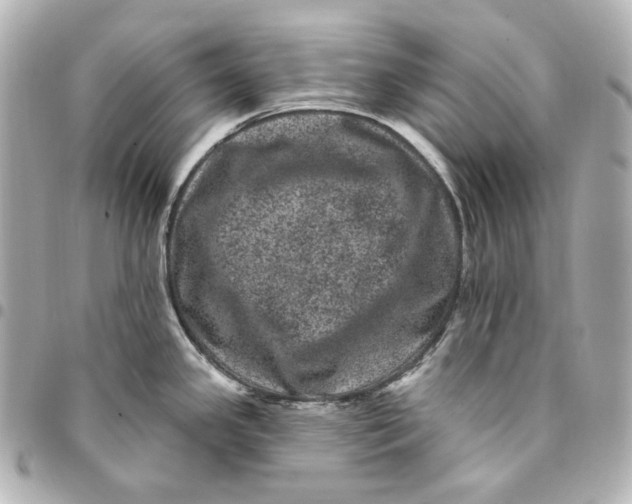 X0000094961341200712201151