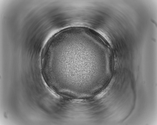 X0000094961342200712201151