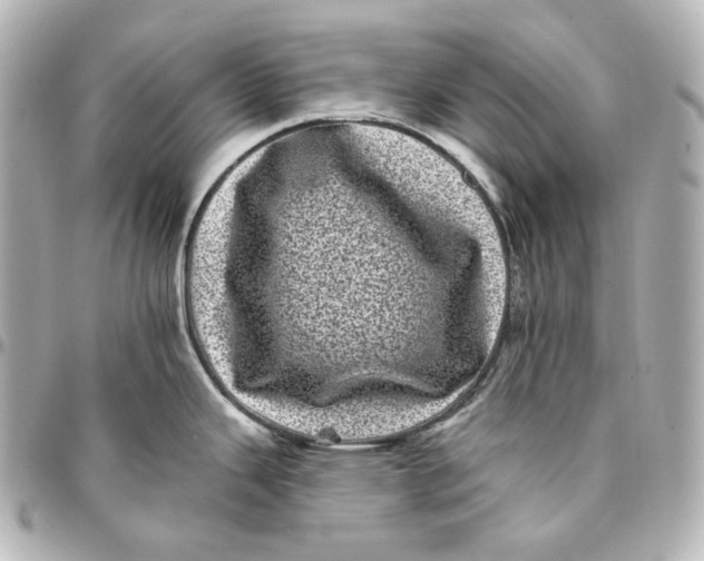 X0000094961343200712201151