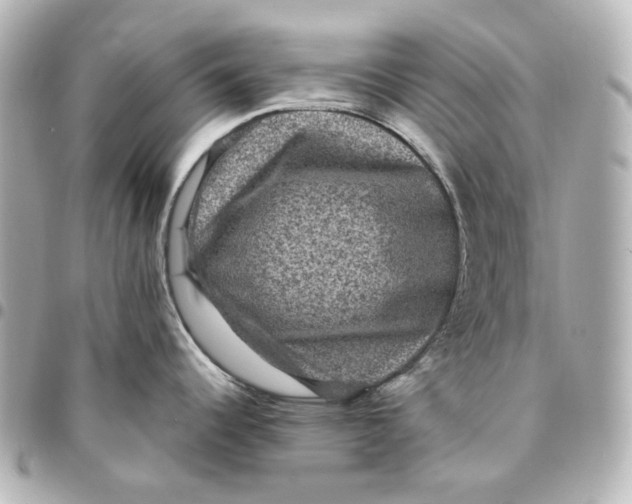 X0000094961344200712201151