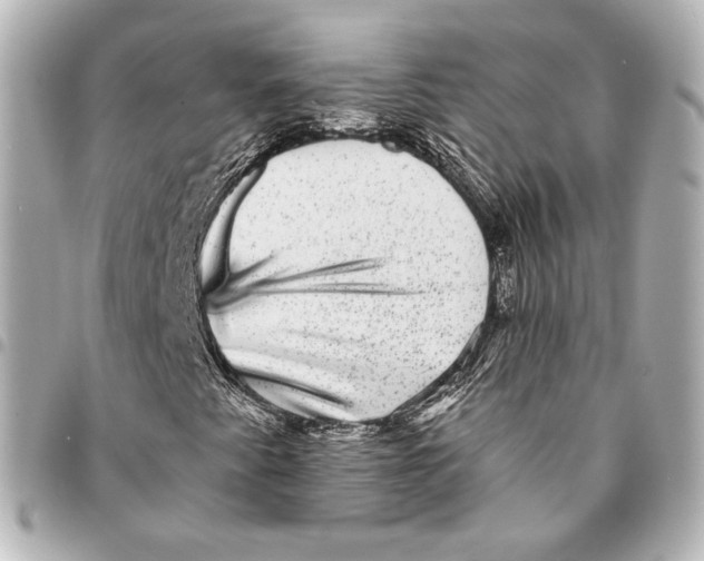 X0000094961345200712201151