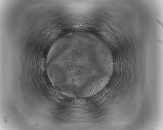 X0000094961346200712201151