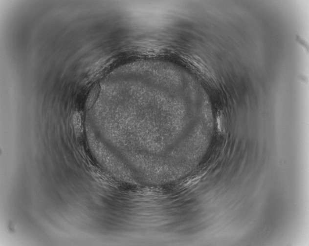 X0000094961347200712201151