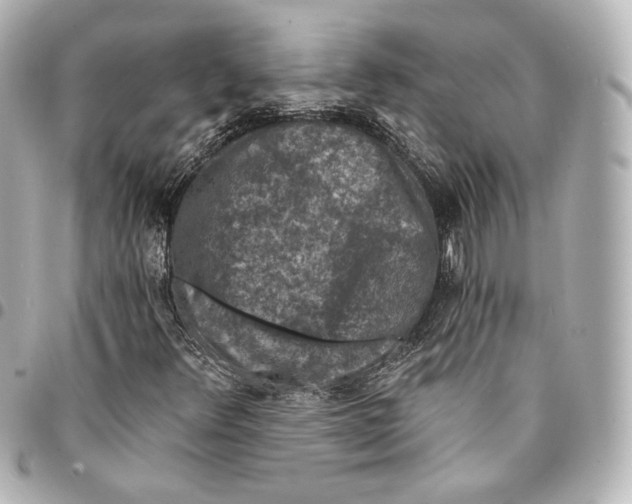 X0000094961348200712201150