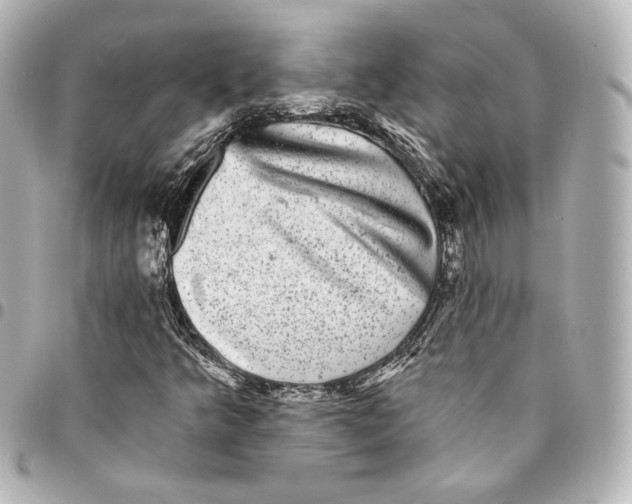 X0000094961349200712201150