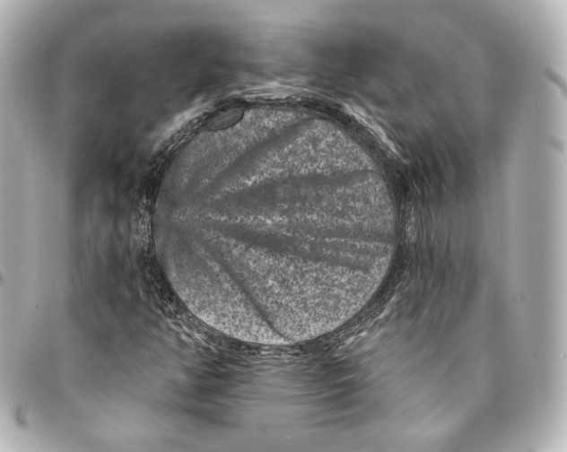 X0000094961350200712201150