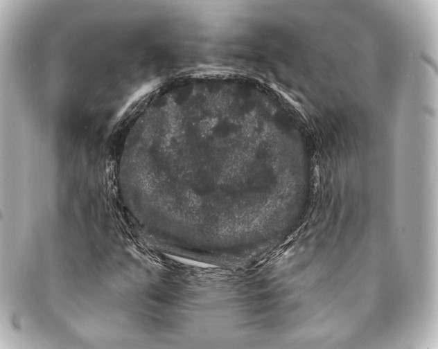 X0000094961351200712201150