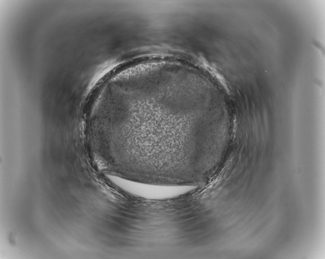 X0000094961352200712201150