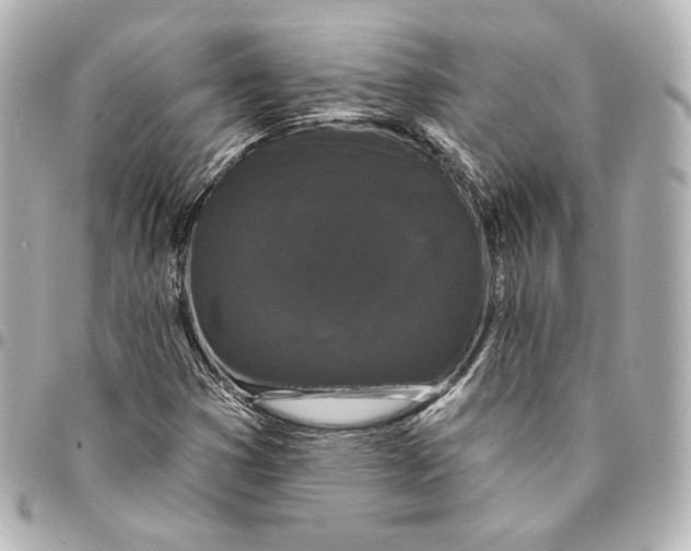 X0000094961353200712201150