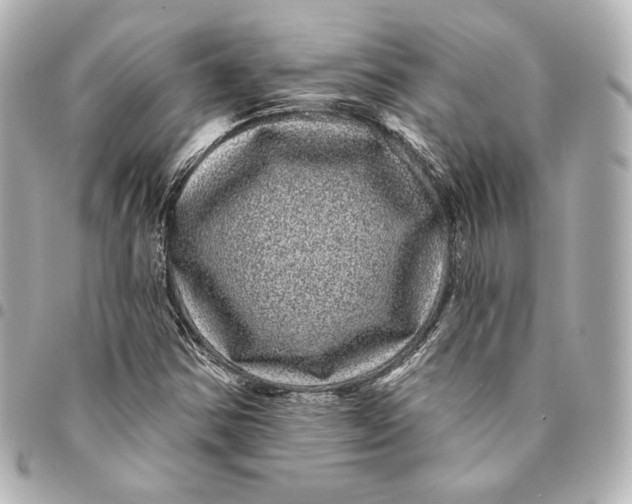 X0000094961354200712201150