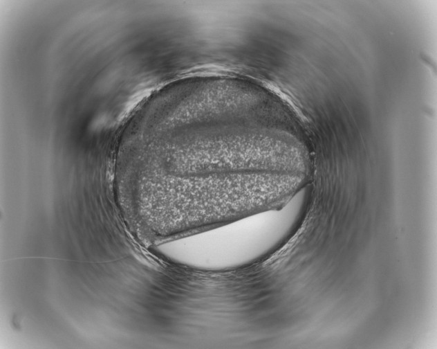 X0000094961355200712201150