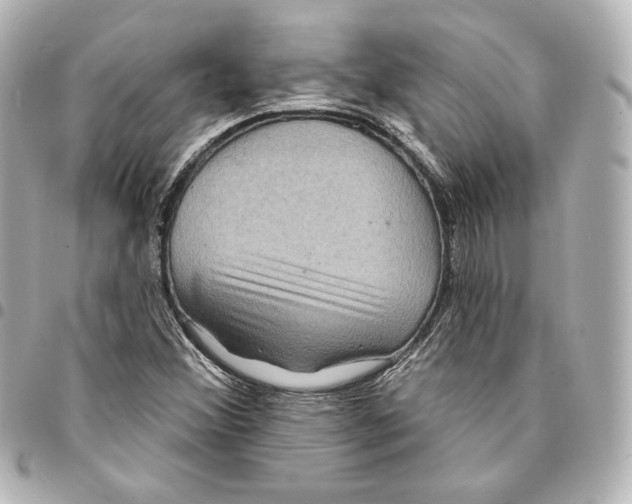 X0000094961356200712201150