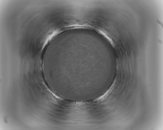 X0000094961357200712201150