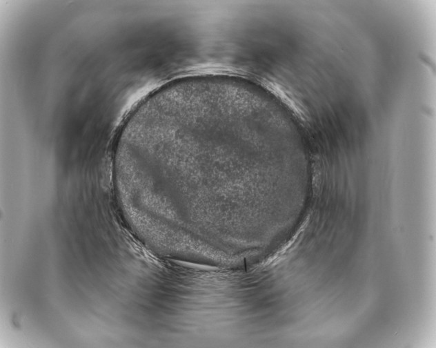 X0000094961358200712201150