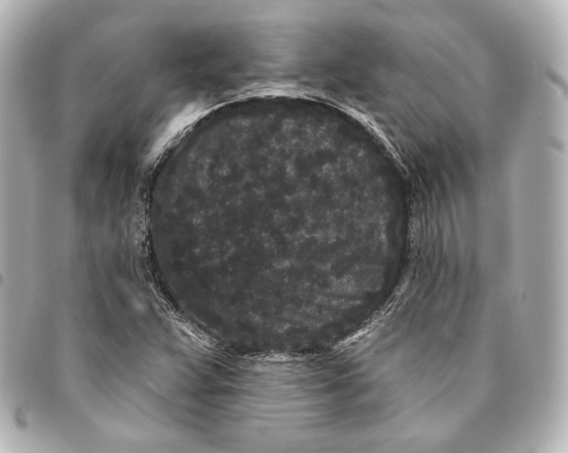 X0000094961359200712201150