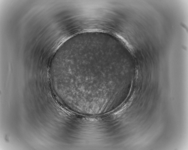 X0000094961361200712201150