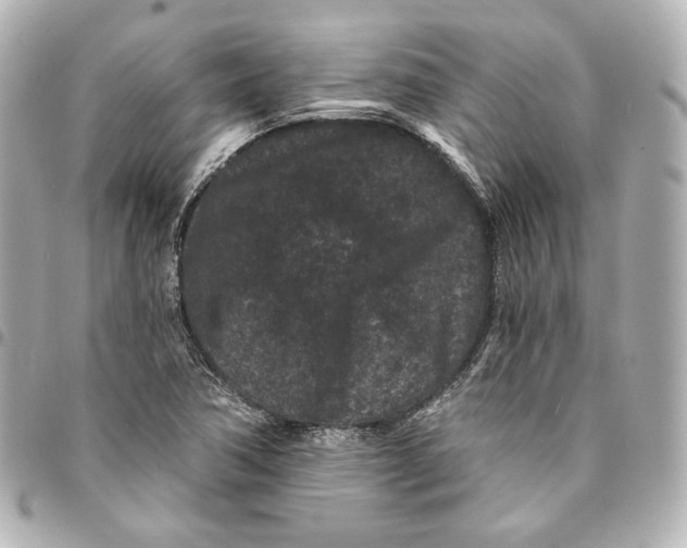 X0000094961362200712201150