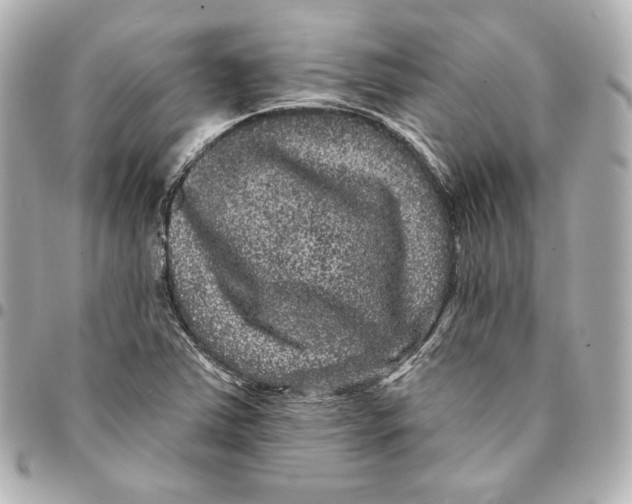 X0000094961363200712201150