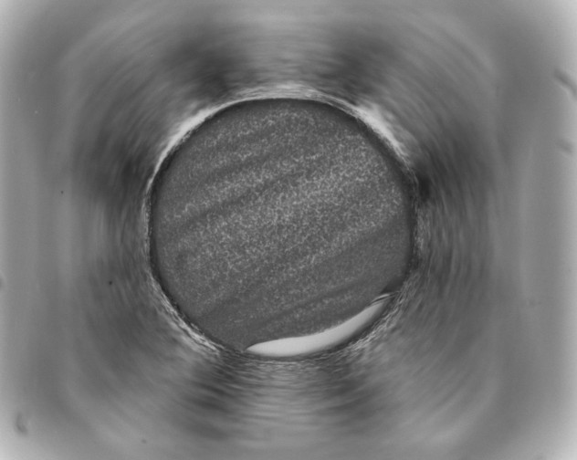 X0000094961364200712201150