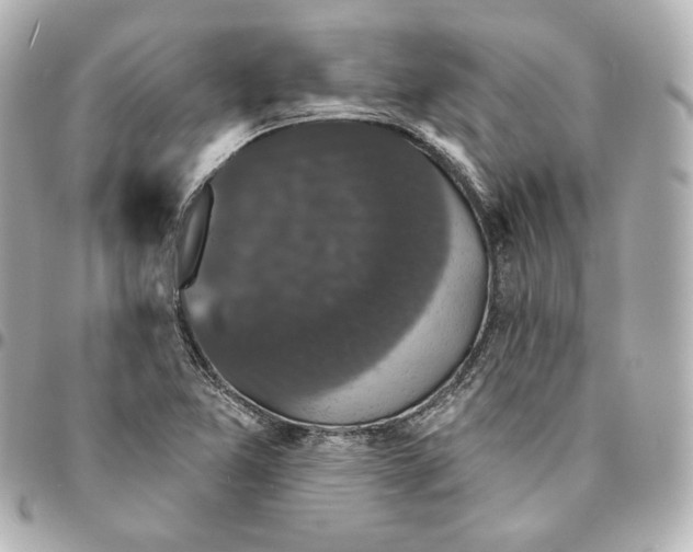 X0000094961365200712201150