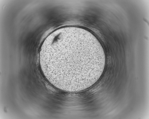 X0000094961366200712201150