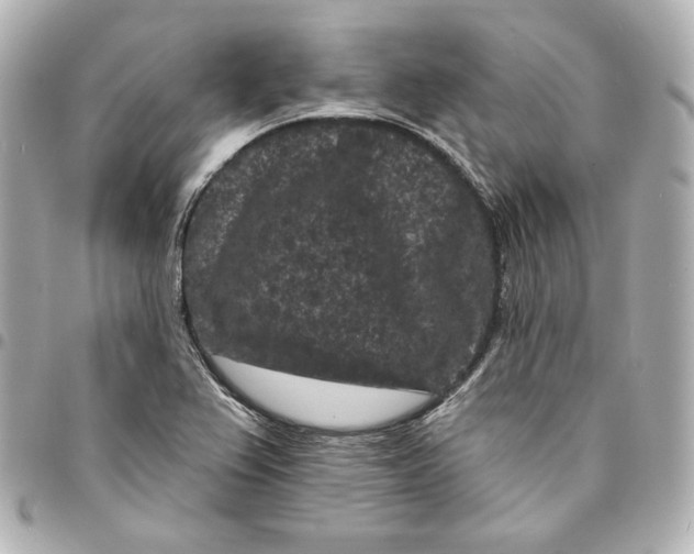 X0000094961367200712201150