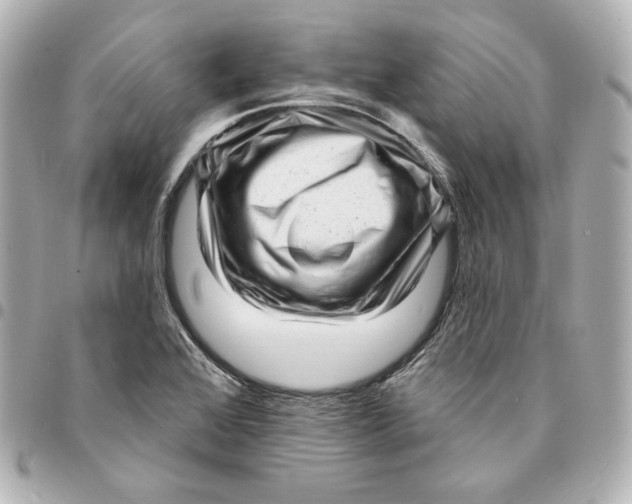 X0000094961368200712201150