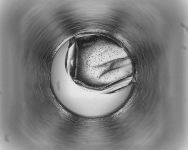 X0000094961369200712201150