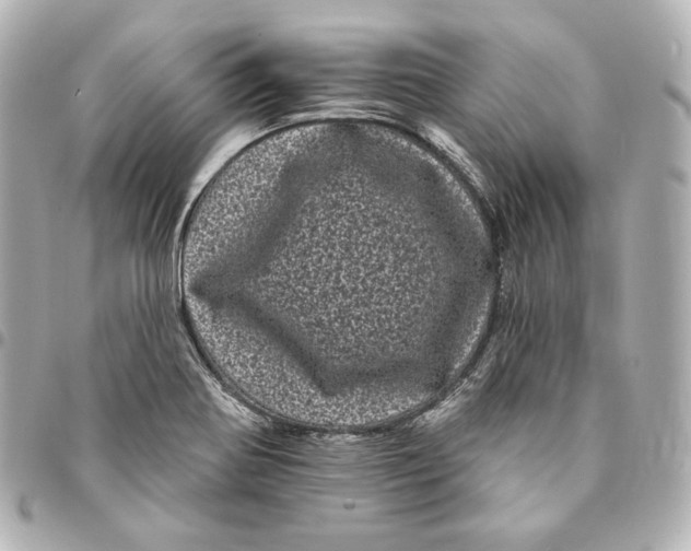 X0000094961370200712201150