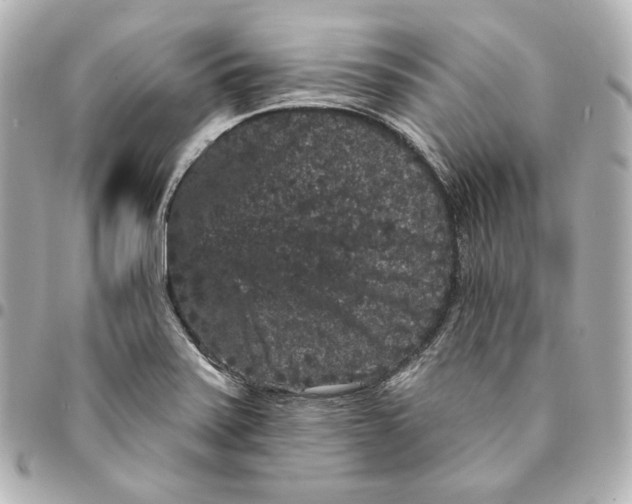 X0000094961371200712201150