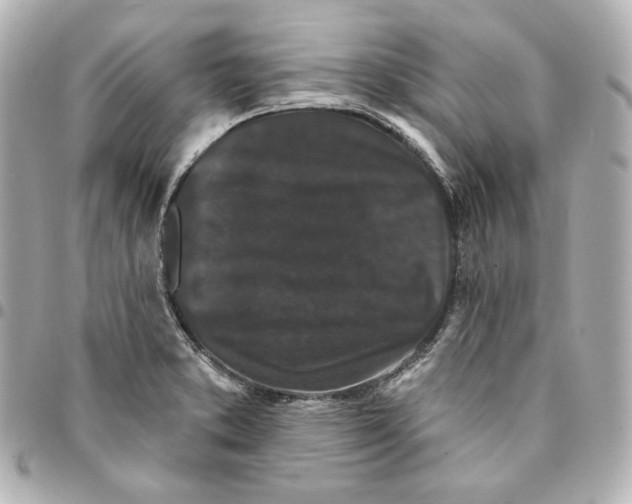 X0000094961373200712201150