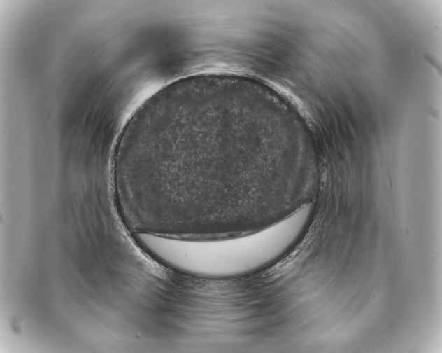 X0000094961375200712201150