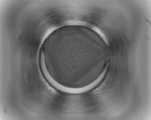 X0000094961376200712201150